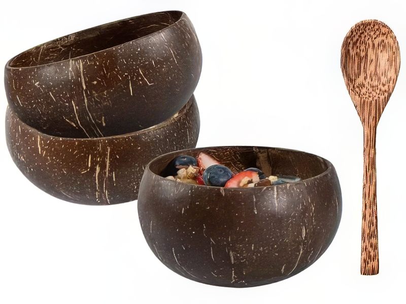 Usine de Bols en Coque de Noix de Coco Personnalisés