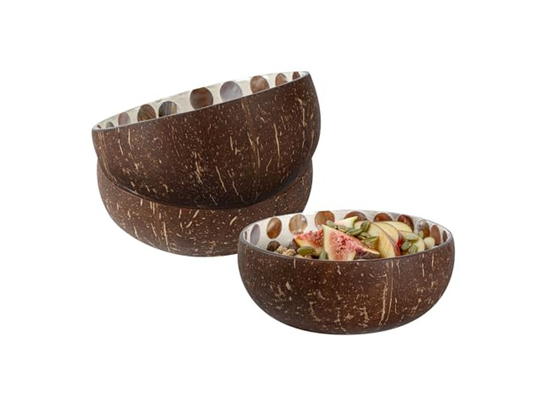 Bol à Salade Açaï Ensemble Artisanat Fait à la Main Noix de Coco Singe Mosaïque Demi-Coques
