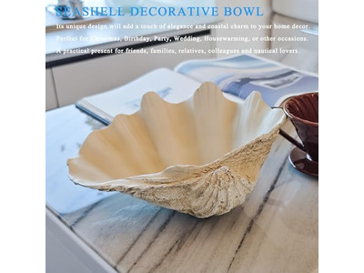 Bol en Noix de Coco pour Plantes Coquille Non Polie Gravure Bols en Bois et Assiettes