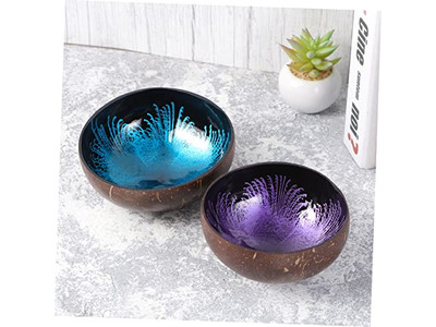 Bol en Coquille de Noix de Coco Avec Motif Salades Bols Personnalisés de Haute Qualité