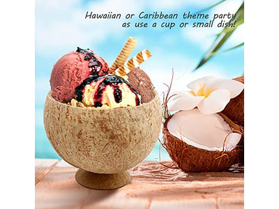 Produit en Coque de Noix de Coco Plats à Snacks Cuillère Vietnam Bol Grande Taille Logo Propre