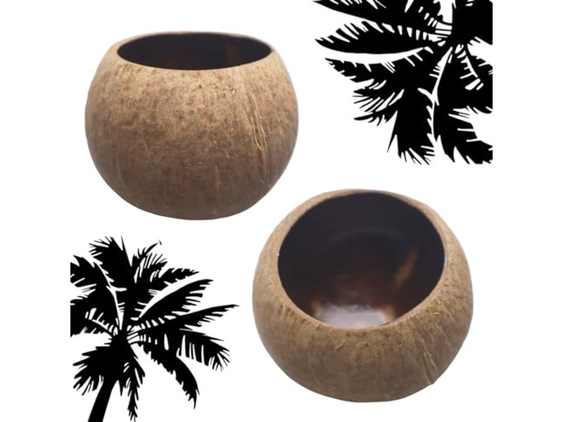 Bol de Teinture Écologique Rond Pâte à Pizza Bols Décoratifs en Noix de Coco