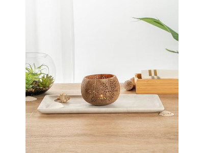 Bol à Salade avec Couvercle Noix de Coco Colorée pour Animaux Durable Vietnam Tendances Bols