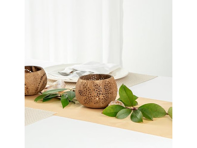 Bol à Salade avec Couvercle Noix de Coco Colorée pour Animaux Durable Vietnam Tendances Bols