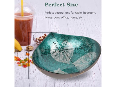 Ensemble de Bol en Bois Grand Noix de Coco Brut Couvercle Chaud Décorations Produits Artisanaux